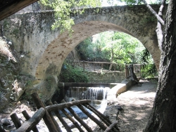 Hector Evans illusztrációja