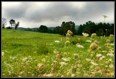 Jeff Long illusztrációja_450x Jeff Long illusztrációja