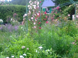 Monet kertje - Giverny