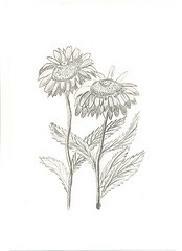 Baják K. Zsuzsanna (Susy Berg): Szeretet 