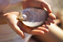 szepsegluxus szepsegluxus