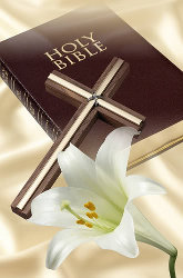 holybible_02
