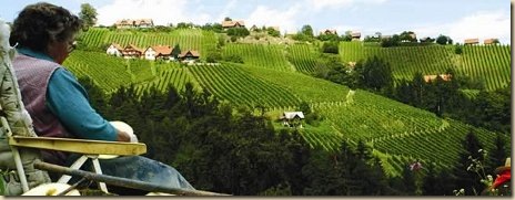 Schilcherland_460x