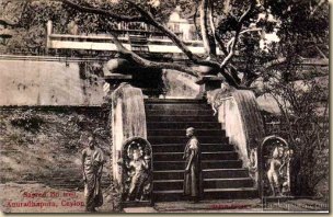 bo-tree-anuradhapura