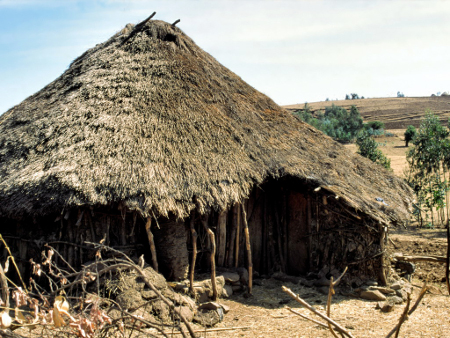 etiopiai kunyho_450x