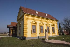 Csók István kúria