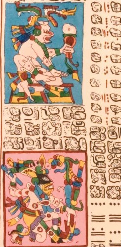 Vénusz tábla részlete a drezdai kódexben