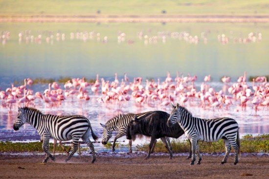 Ngorongoro National Park