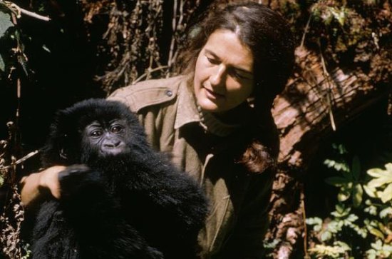 Dian Fossey