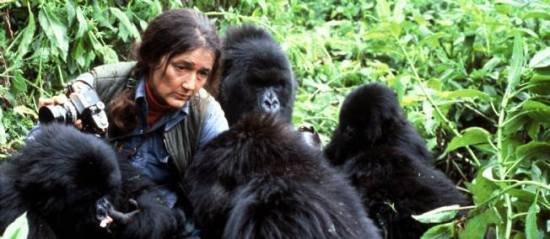 Dian Fossey