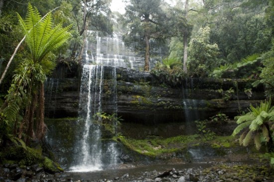 Russel-vízesés Tasmania