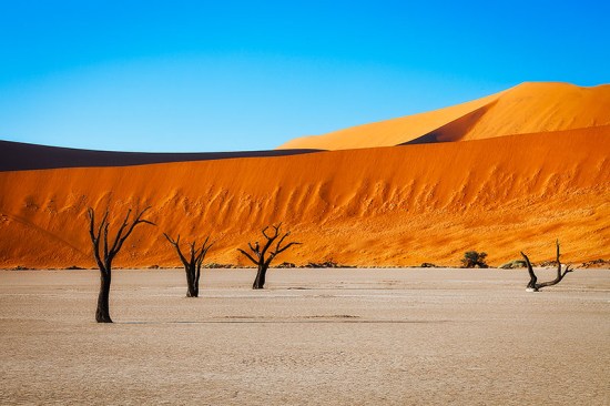 Deadvlei - orange dunes