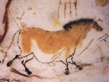 vadló, Lascaux