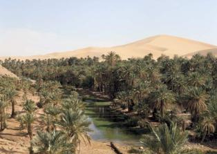 oasis in Djanet