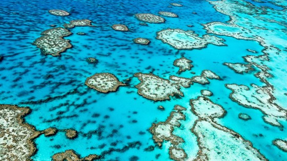 Great barrier Reef