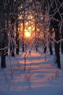 Sunset on the snow