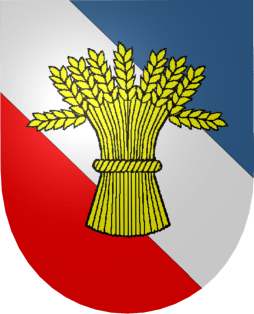 A Vasa család címere The coat of arms of the Vasa family