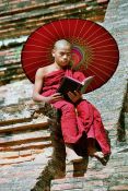 Monk in Myanmar