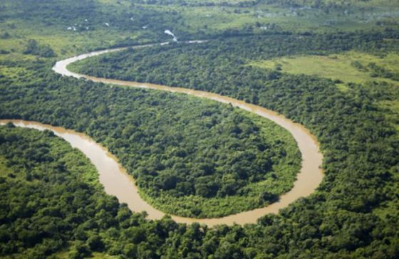 Pantanal Motogrossense Nationa Park