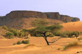 Adrar Plateau