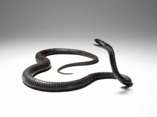 Wrought iron artwork from the Meiji era