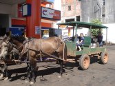 Mennonites in Paraguay