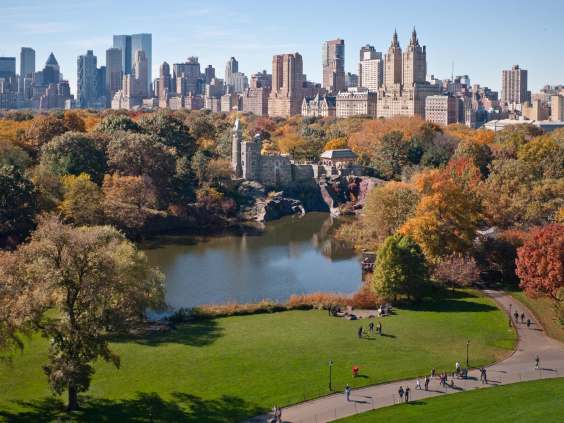 Central Park in New York