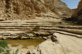 Ein Avdat canyon