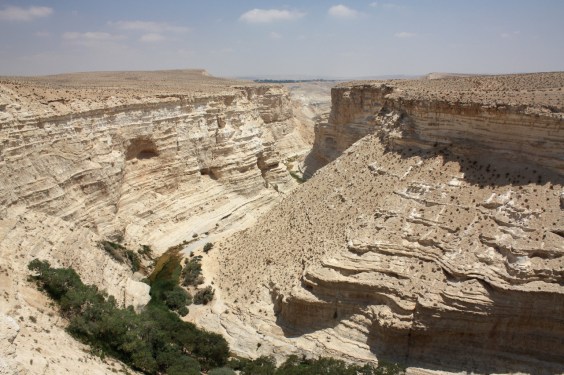A 12 ezer négyzetkilométeres Negev-sivatag északi részén található, V alakú kanyon talppontja délen van. Ein Avdat canyon