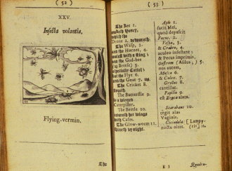 Comenius: Orbis sensualium pictus