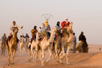 Camel Racing UAE