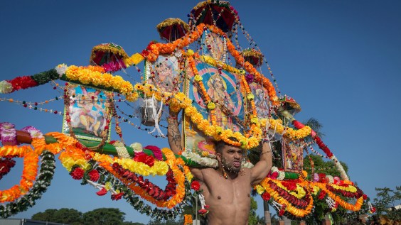 A Hindu devotee with bodies pierced skewed with spikes carries a 2 metre bamboo decked with marigolds, milk and Hindu deities during the annual Hindu Thaipusam Kavady on February 11, 2017 at the Shree Emperumal Hindu Temple some 42 kms north of Durban.  / AFP / RAJESH JANTILAL        (Photo credit should read RAJESH JANTILAL/AFP/Getty Images)