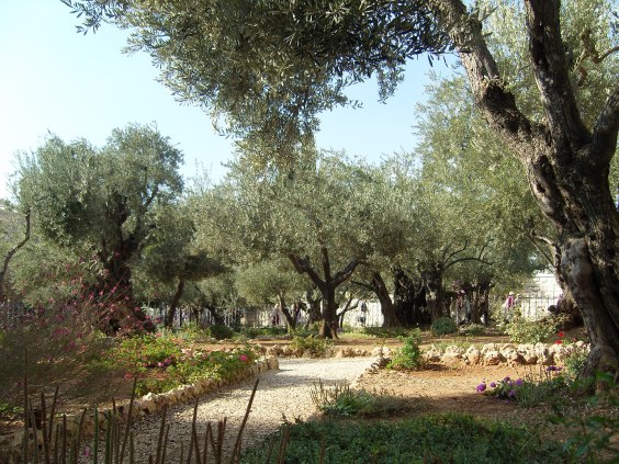Garden of Gethsemane
