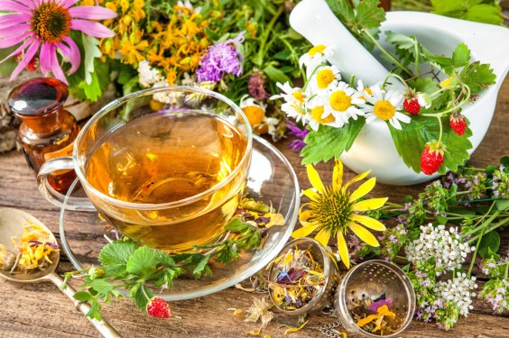 Cup of herbal tea with wild flowers and various herbs