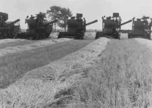 Soviet-made combine harvesters in 1961