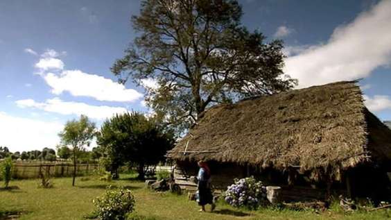 Mapuche culture (Also called the Araucanian Indians after their place of residence