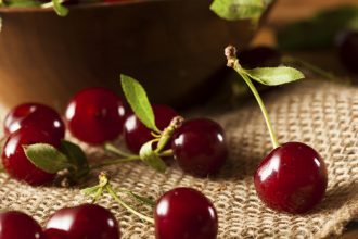 Sour cherries (Prunus cerasus L.)