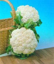 Cauliflower