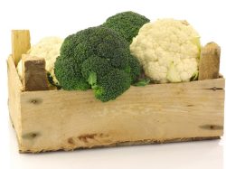 Summer vegetables in the kitchen