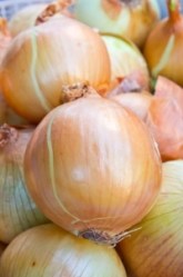 Onion