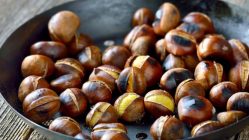 Roasted chestnut
