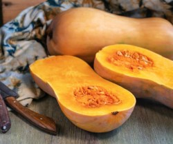 Take this if you want to eat a really delicious pumpkin.