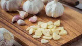 Garlic