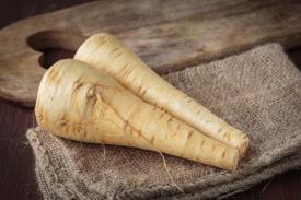 Fresh raw Pastinaca carrot for healthy nutrition