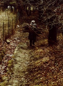  Rőzse (fotó: Legeza Dénes István)