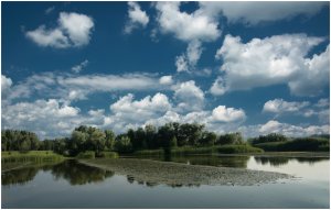 Tisza folyó